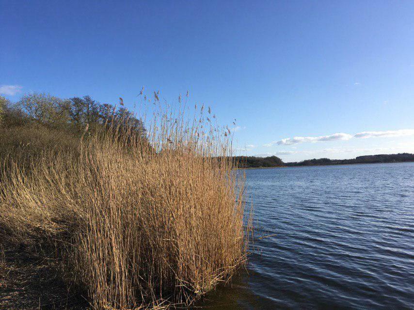 Ferienwohnung Am Noor Nahe Schleswig Und Dem Wikingerdorf Haithabu Fahrdorf  Exterior foto