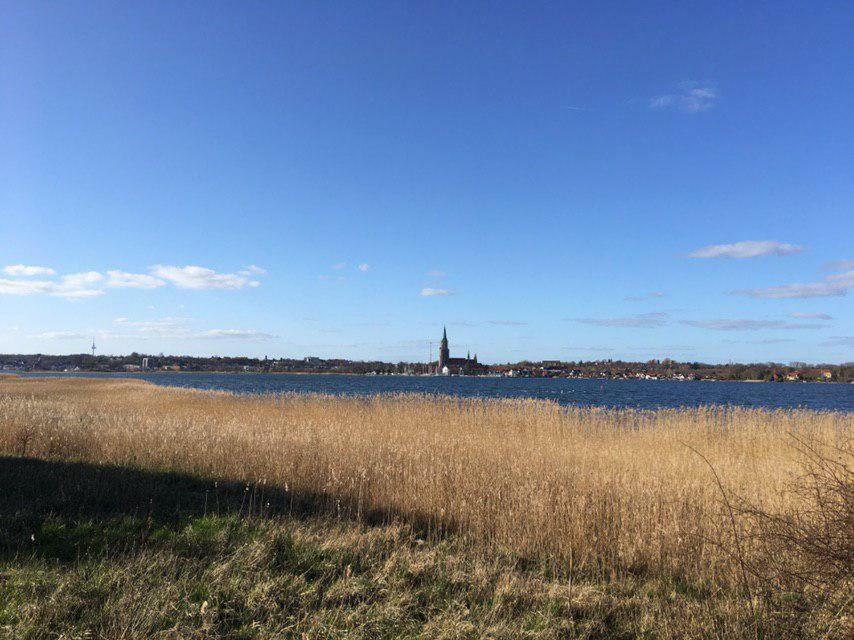 Ferienwohnung Am Noor Nahe Schleswig Und Dem Wikingerdorf Haithabu Fahrdorf  Exterior foto